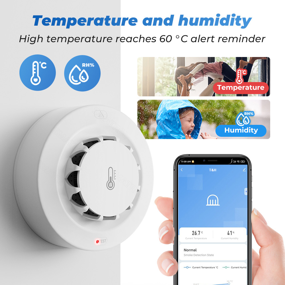 Tuya WiFi Temperature and Humi - огляд і ціна Home Security With Alarm